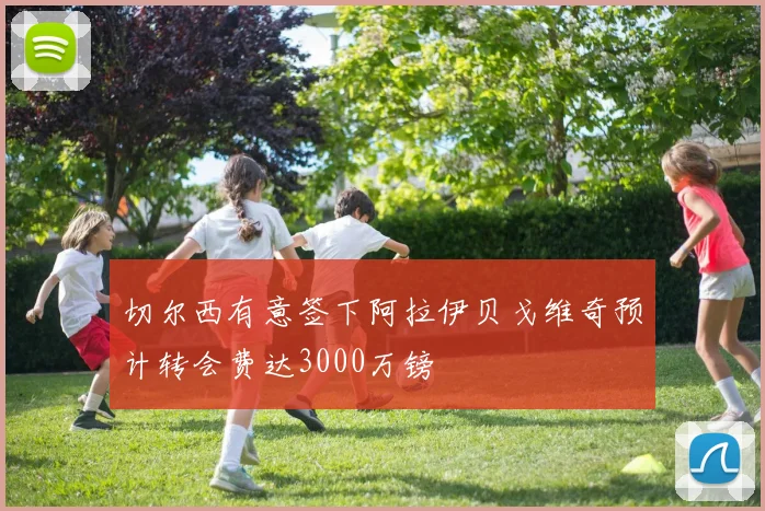 切尔西有意签下阿拉伊贝戈维奇预计转会费达3000万镑
