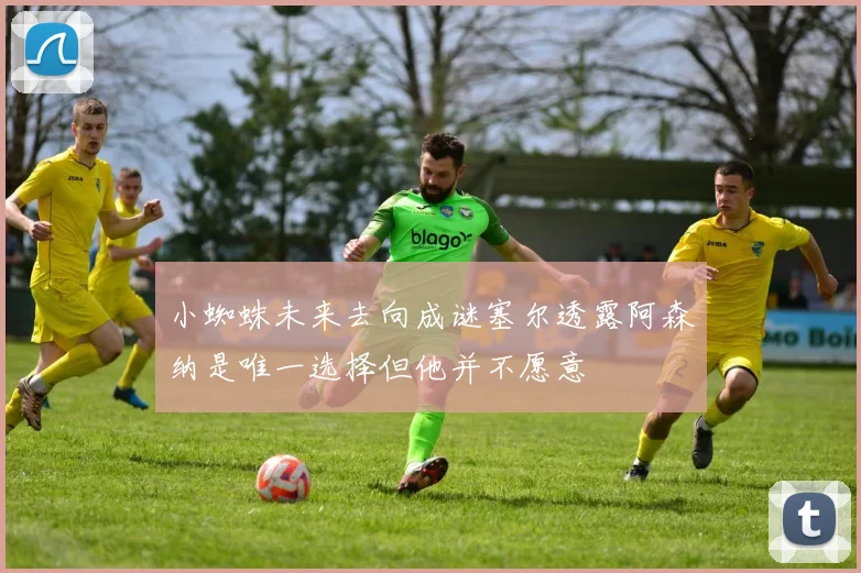 小蜘蛛未来去向成谜塞尔透露阿森纳是唯一选择但他并不愿意