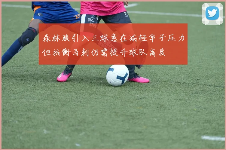 森林狼引入三球意在减轻华子压力但抗衡马刺仍需提升球队高度